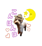 ♡♡♡いろはスタンプ♡♡♡（個別スタンプ：4）