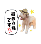 ♡♡♡いろはスタンプ♡♡♡（個別スタンプ：7）