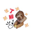 ♡♡♡いろはスタンプ♡♡♡（個別スタンプ：10）