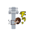 ♡♡♡いろはスタンプ♡♡♡（個別スタンプ：12）