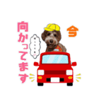 ♡♡♡いろはスタンプ♡♡♡（個別スタンプ：13）