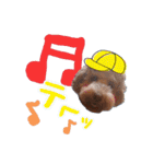 ♡♡♡いろはスタンプ♡♡♡（個別スタンプ：16）