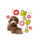 ♡♡♡いろはスタンプ♡♡♡（個別スタンプ：21）