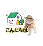 ♡♡♡いろはスタンプ♡♡♡（個別スタンプ：31）