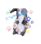 小福ニャーー♥（個別スタンプ：1）
