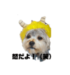 かなこの愛犬★（個別スタンプ：3）