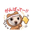 チワワラブ❤️挨拶（個別スタンプ：7）