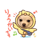 チワワラブ❤️挨拶（個別スタンプ：8）