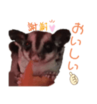 kouich7（個別スタンプ：7）