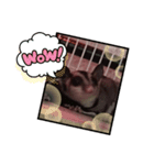 kouich7（個別スタンプ：8）