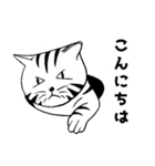 トラ猫ぷーの日常（個別スタンプ：3）