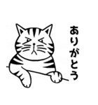トラ猫ぷーの日常（個別スタンプ：8）