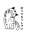 トラ猫ぷーの日常（個別スタンプ：12）
