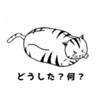 トラ猫ぷーの日常（個別スタンプ：21）