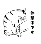トラ猫ぷーの日常（個別スタンプ：24）