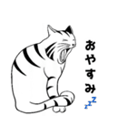 トラ猫ぷーの日常（個別スタンプ：31）