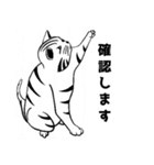トラ猫ぷーの日常（個別スタンプ：33）