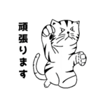 トラ猫ぷーの日常（個別スタンプ：34）