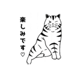 トラ猫ぷーの日常（個別スタンプ：38）