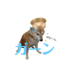 いなりん日和〜やる気はほどほど〜（個別スタンプ：16）