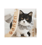 多頭飼育崩壊レスキューにゃんずvol.2（個別スタンプ：2）