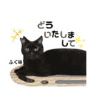多頭飼育崩壊レスキューにゃんずvol.2（個別スタンプ：28）