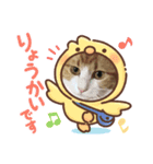 僕たちにゃんこ（個別スタンプ：1）