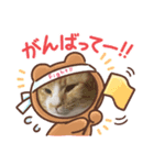 僕たちにゃんこ（個別スタンプ：5）