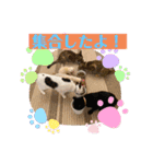 ぺっとすたんぷ_その5（個別スタンプ：3）
