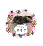 ぺっとすたんぷ_その5（個別スタンプ：6）