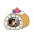 ぺっとすたんぷ_その5（個別スタンプ：8）