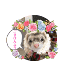 ぺっとすたんぷ_その5（個別スタンプ：10）