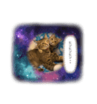 ぺっとすたんぷ_その5（個別スタンプ：12）