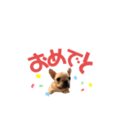 フレブルのマイル3（個別スタンプ：3）