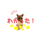 フレブルのマイル3（個別スタンプ：5）