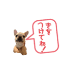 フレブルのマイル3（個別スタンプ：7）