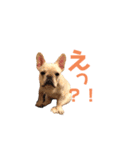 フレブルのマイル3（個別スタンプ：13）