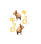 フレブルのマイル3（個別スタンプ：17）