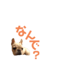 フレブルのマイル3（個別スタンプ：19）