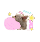 もふもふのお友達♡（個別スタンプ：3）