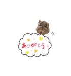 もふもふのお友達♡（個別スタンプ：21）