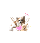 もふもふのお友達♡（個別スタンプ：24）