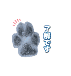 バーニーズのググ（個別スタンプ：16）