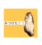 ニワトリ好きのスタンプ2（個別スタンプ：6）