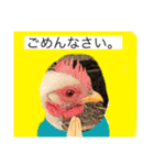 ニワトリ好きのスタンプ2（個別スタンプ：12）