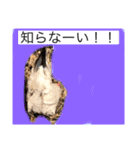 ニワトリ好きのスタンプ2（個別スタンプ：15）