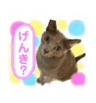ルルちゃんpart2（個別スタンプ：1）
