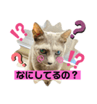 ルルちゃんpart2（個別スタンプ：3）