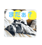 ルルちゃんpart2（個別スタンプ：4）