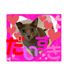 ルルちゃんpart2（個別スタンプ：10）